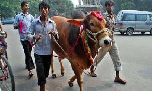 পশু কোরবানির নিয়ম-দোয়া