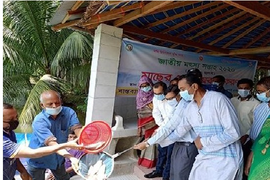 বাগেরহাটে অবমুক্ত মাছের পোনা