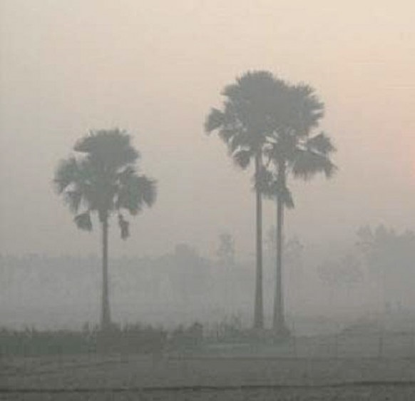 কুয়াশার আবরণে ঢাকা উত্তরাঞ্চল, নেই শীতের দেখা