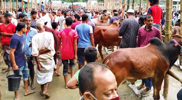 কুমিল্লায় কোরবানির হাট