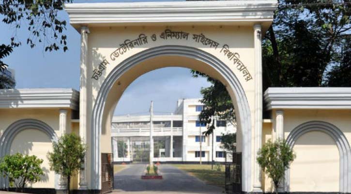 সিভাসু
