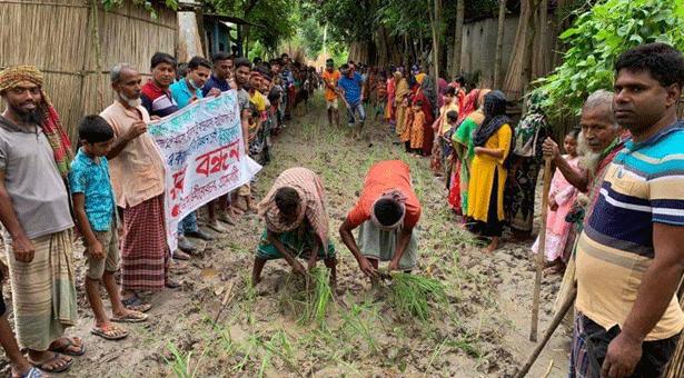 রাস্তায় ধানের চারা রোপন