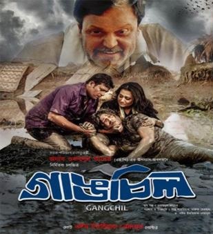 গাঙচিল