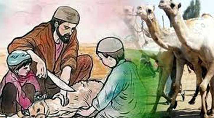 পরিপূর্ণ কোরবানির শর্ত