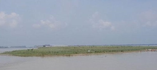 লৌহজং চর