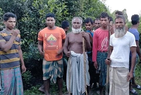 পঞ্চগড়ে বাঘের হামলা