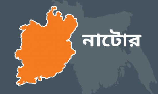 নাটোর কিশোরী গণধর্ষণ